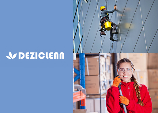 Deziclean studiu de caz