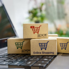 eccomerce pluriva erp