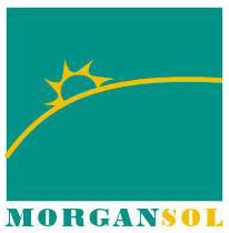 morgan sol