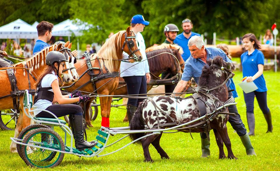 karpatia pony show