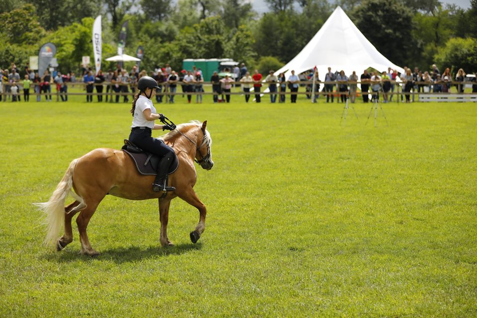 karpatia pony show