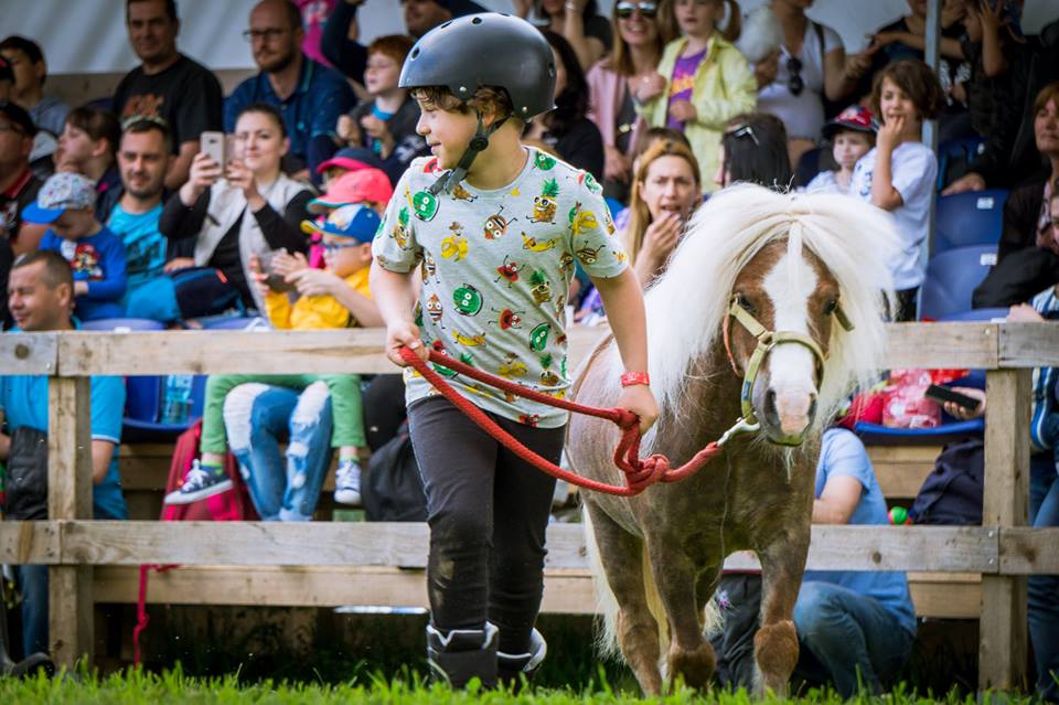 karpatia pony show 9 Copy