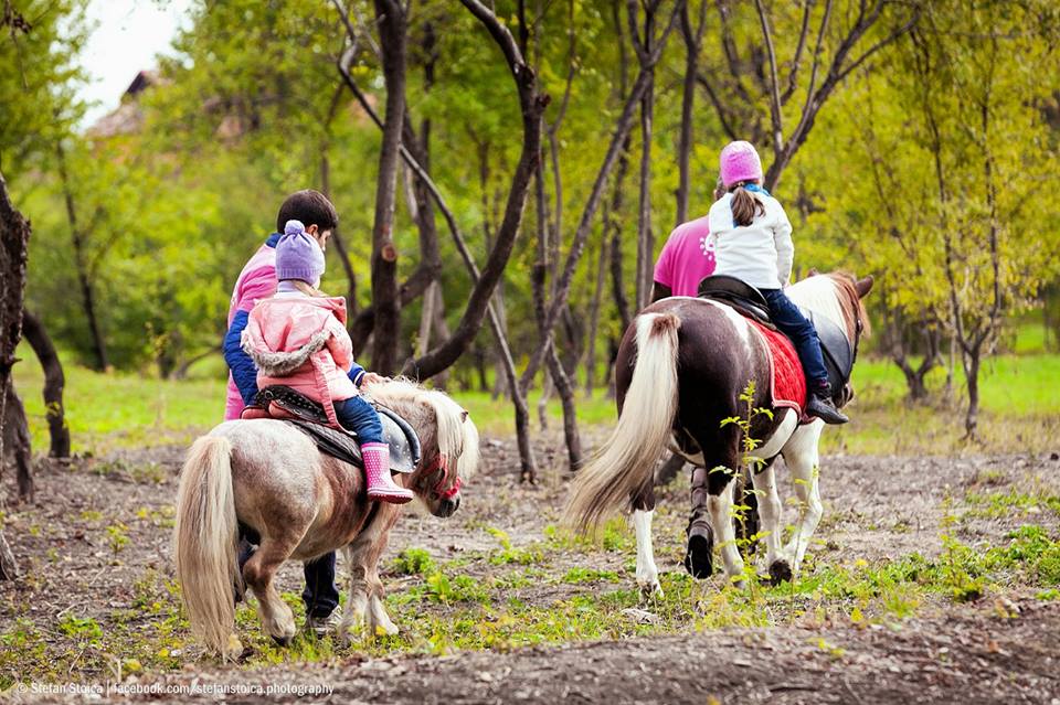 karpatia pony show Copy