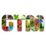 Greentree marketing