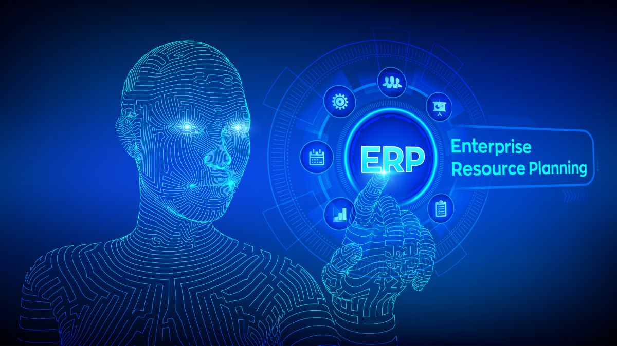 AI ERP Pluriva