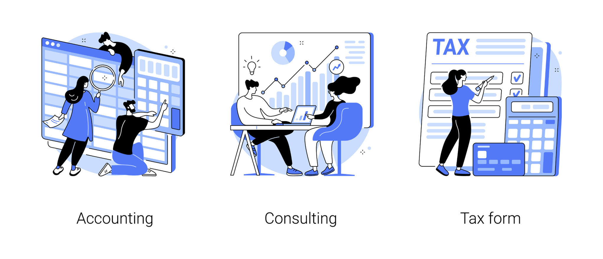 program contabil ERP